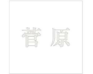 nCWbN LW SVbN p[O[ 200×200~p 