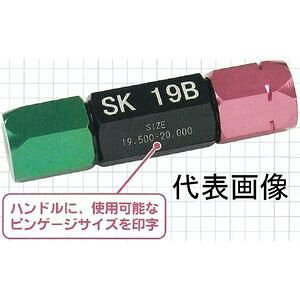 �V�����@(Niigataseiki) SK�@�A���~�s���o�C�X APV-4A 3542564