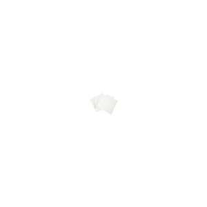 ���{���a�{�� NCA (�m���^�P�R�[�e�b�h�A�u���[�V�u) �@�_�C�������h�V�[�g SD3000 AS-N 100X100 3552250
