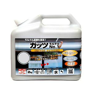 �j�b�y�z�[���v���_�N�c �j�b�y �K�b�c�����^��No1 2K ���C�g�O���[