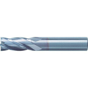 ���j�I���c�[�� ���d�G���h�~�� �X�N�G�A(�V���[�v�R�[�i�^�C�v)��8×�n��19 CCES4080S 3410307