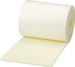 TRUSCO gXRR TRUSCO GbWNbVe[v 100mmX2m zCg TEC100W