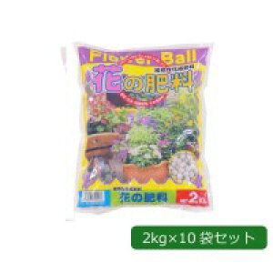 COMOLIFE RCt | t[{[(Ԃ̔엿) 2kg×10 (1058143)