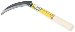 L{V  np (ڐnt) 140469