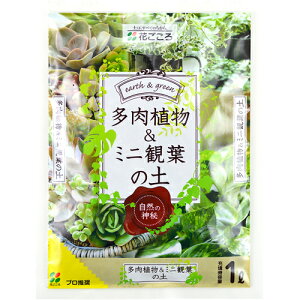 花ごころ 多肉植物&ミニ観葉の土 1L