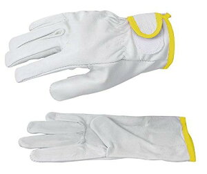 V {v 723PLL code:7895062