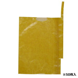 F{X ʎ܂悩EfR| Ki:K-20 50}CC