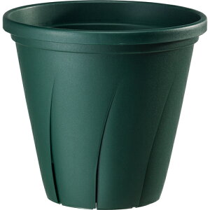 avX`bN ͂蔫 7 _[NO[