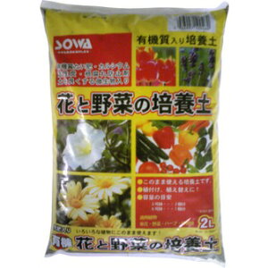 naTCN na ԂƖ؂̔|{y 2LyPiz