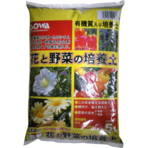 naTCN naԂƖ؂̔|{y 5LyPiz