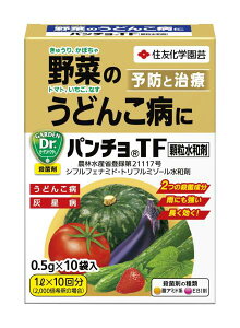 ZFw| p`a 0.5g×10