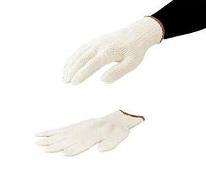 ӂ ƗpR@ngVJG@658@12o6-6210-01