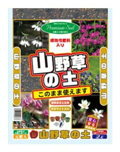 {O[T[rX GS R쑐̓y 2L