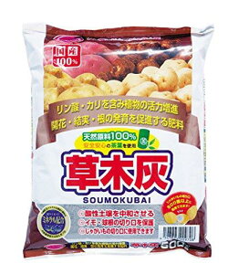 サンアンドホープ 草木灰 500g