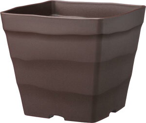 AbvEGA[ NtgXNGA 25^ _[NuE