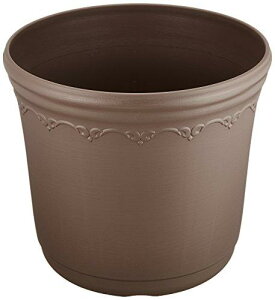 �A�b�v���E�G�A�[ �Z�V���|�b�g 23�^ �A�b�V���u���E��