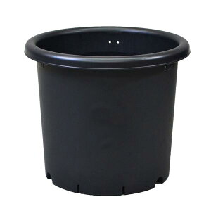 アップルウェアー 菊鉢 6号 ブラック