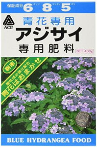 A~m[w AWTCp엿 400g