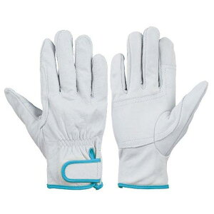 CG718SSV {v CG7188370647