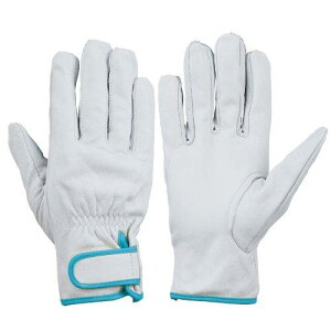 CG717SSV {v CG7178370659