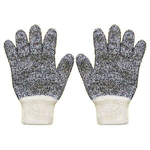 Y SFA011GXt@Ng[ ϔMO[u8195394