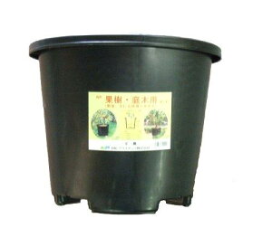 NPP45BKDIC NP|bg#457931085