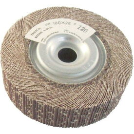 TRUSCO トラスコ中山 TFW10025100TRUSCO 研磨輪 外径100 幅25 100# 2個入7682913