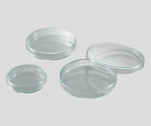 �A�Y���� �X�^���_�[�h�V���[�� ��150×25mmNCGL1324612-9169-08
