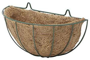 ^JV[ EH[nMOoXPbg STCY NMP-W6S(1R)