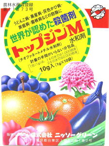 jb\[O[ gbvWMa 1g×10