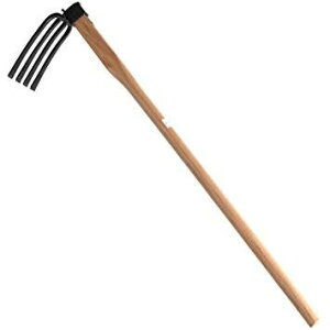 cH SENNARI l{\L 3.5VNG(1{)