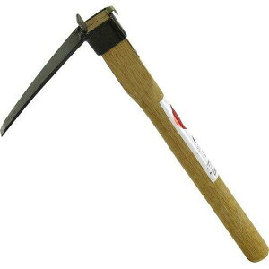 cH SENNARI RxL AD-925(1{)