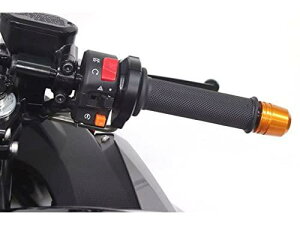 �A�N�e�B�u(ACTIVE) ACTIVE �n�C�X��KIT [EVO2] BLK ���[�W�{�f�B�[ �����50/52 [���b�L����] 900mm �i��:1065718