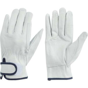 aR[|[V g \v W[En(10o) L