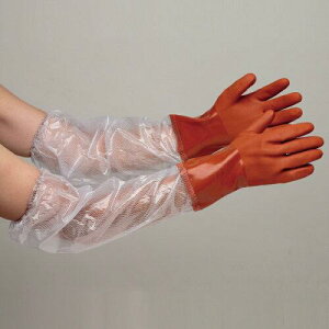 aR[|[V rjX^[ rjX^[rJo[t\tg M