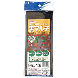 {}^C g؂荕 }` 0.95×10m