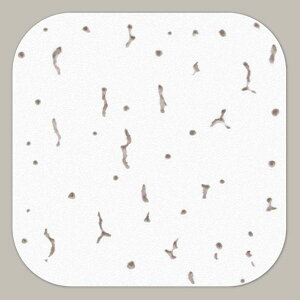 qTS V{[h̕C! VV[ OP4000 Wvg[ 140×140mm