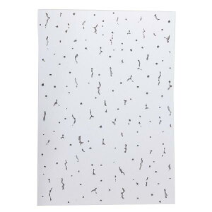 aCY V{[h̕C! VV[ OP5000 Wvg[ A4TCY