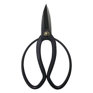 nT~  A؉͂ 180mm 226 (1371483)