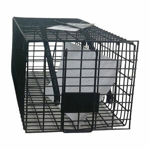 ~lbNX^ lY~߂ p^ () ubN