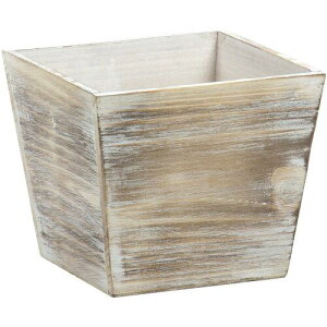 |s[ AeB[NzCgEHbVEbh p^ v^[{bNX _5p 738-50DEW (1434033)