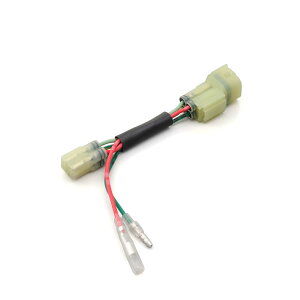 fCgi(DAYTONA) ACCn[lXREBEL250 i:99815