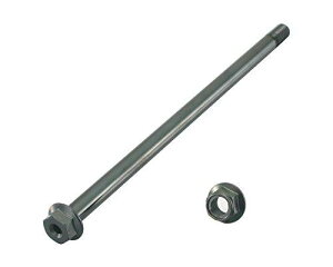 L^R(KITACO) ANXVtg L[(tg/Ch) i:498-1123210