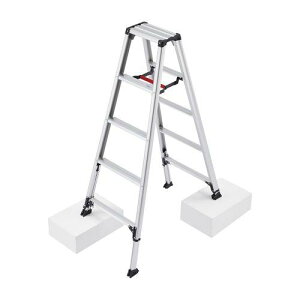 JH(Hasegawa) ry rLk (pr) RZS-15a (1608405)