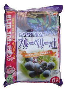 HJX HB]101u[x[̓y 6L