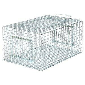 �h�H�� �h�q���Y �o�[�h�g���b�v RF1 E-01