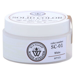 aMyCg(Washi Paint) aM #800821 \bh SC-01 zCg 90g@#800821