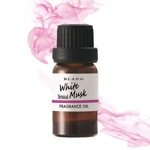 CARMATE J[Cg J[Cg ԗp F tOXfBt[U[ p tOXIC zCgXN ZVA L10013