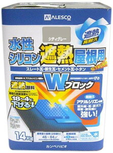 JynsI(Kanpe Hapio) KH VRՔMp VeBO[ 14K@#00377655043140