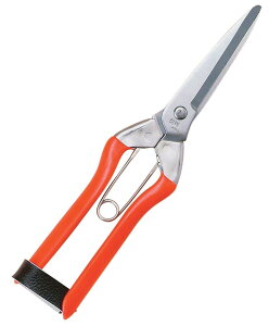 ѐ zH S-3 XeXn Xeol 200mm BP@S-3